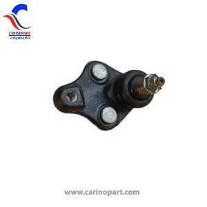 سیبک طبق شاهین