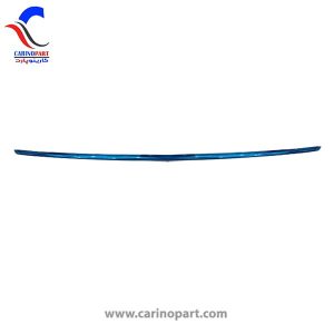 زه درب صندوق نقره ای شاهین